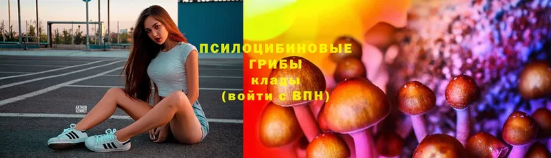 blacksprut ссылки  купить наркотики цена  Порхов  Псилоцибиновые грибы мицелий 